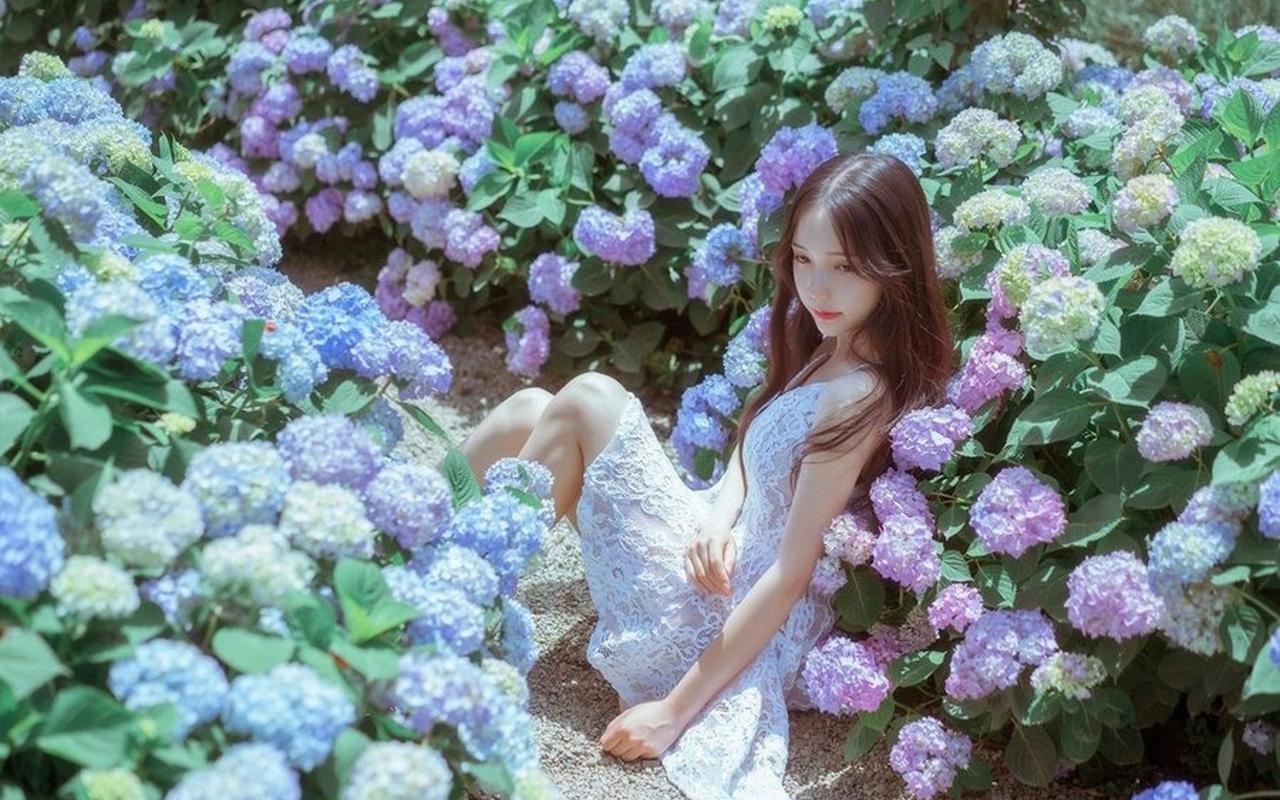 甘肃宕昌：草木研药、清波调方 满眼皆是生态“处方笺”